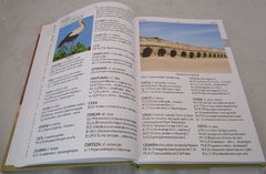 Kit para estudo bíblico - bíblia slim vermelha + dicionário bíblico ilustrado - comprar online