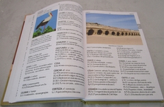 Presente Mães - Dicionário Bíblico Completo - Mundial Records Editora