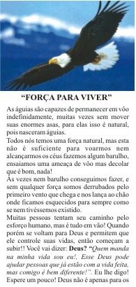 Folhetos para evangelização - Força para viver (1000)