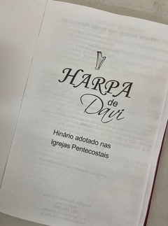 Harpa de Davi grande - capa luxo almofadada vinho liso na internet