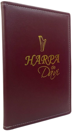 Harpa de Davi grande - capa luxo almofadada vinho liso - comprar online
