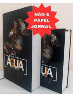 Kit pai e filho - biblia sagrada com ajudas adicionais e harpa capa dura águia