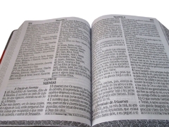 Bíblia com harpa letra jumbo - capa ziper romantic bege com pink na internet