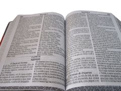 Bíblia letra jumbo com harpa - capa com ziper marrom e floral rosa na internet