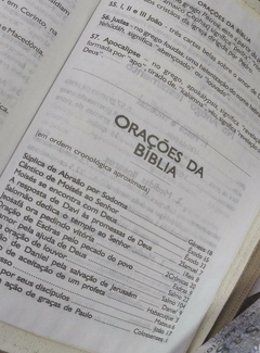 Bíblia sagrada com ajudas adicionais letra hipergigante - capa com zíper rosa raiz - comprar online