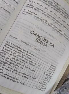 Bíblia do casal letra gigante com harpa luxo caramelo + rosa raiz