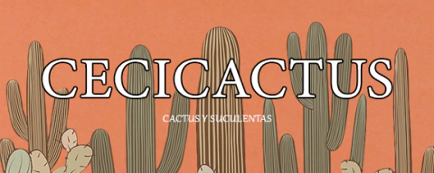 cecicactus - cactus y suculentas de colección