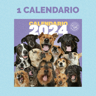 Calendario P4P 2024