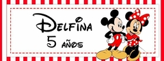 Alcancia Mickey y Minnie (ALC 00267)