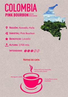 Café de Especialidad - Colombia Pink by Nicolás Artusi - comprar online