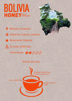 Cafe de Especialidad - Bolivia Honey por Nicolas Artusi - comprar online