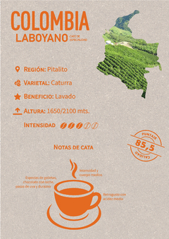 Café de Especialidad - Colombia Laboyano - comprar online