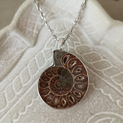 Collar Ammonite - comprar online