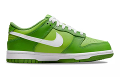 Nike Dunk Low Chlorophyll (GS) en internet