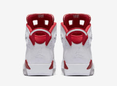 AIR JORDAN RETRO 6 "ALTERNATE" - tienda online