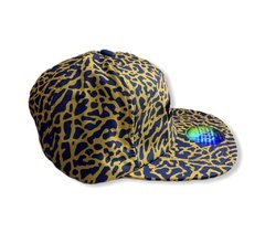 Air Jordan Ele Print 5 Panels - Strapback - LoDeJim