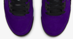 Air Jordan 5 Retro "Purple Grape"