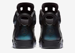 AIR JORDAN RETRO 6 "CHAMALEOM" GS - LoDeJim