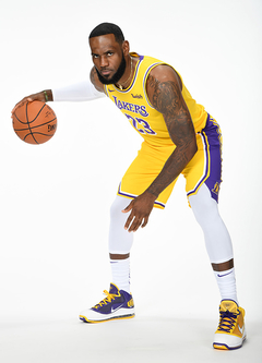 Nike LeBron 7 "Media Day" Lakers Color