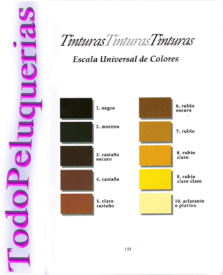 Libro técnico / Manual de peluquería (cortes, tintura, permanentes, etc) en internet