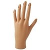 MANO DE PRACTICA PARA MANICURA SIN BASE DE APOYO MODELO HS89539 - comprar online