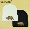 Climate* 4258 Gorro Masculino Bordado Urso California Republic