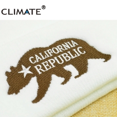 Climate* 4258 Gorro Masculino Bordado Urso California Republic - Simple Market