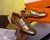 Louis Vuitton Flat Loafer Prime Time - 356 - loja online