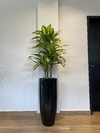 Dracena artificial x3 hastes - 1,15 metros