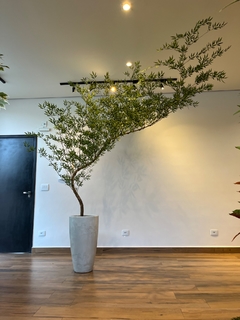Bambu mosso artificial 2,60 metros curvado para Direita - comprar online