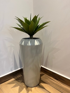 Agave permanente- 45cm - loja online