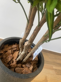 Dracena artificial 1,20 metros - loja online