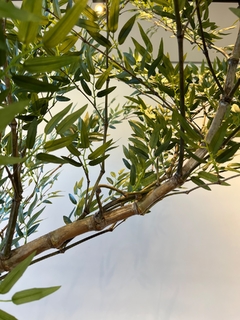 Imagem do Bambu mosso artificial 3,00 metros curvado para Direita