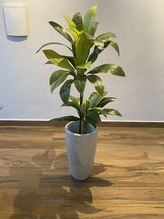 Dracena artificial 1,45 metros