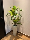 Dracena artificial 1,45 metros