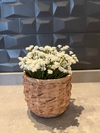 Arranjo Gypsophilia artificial - 15cm