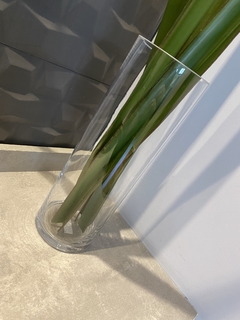 Vaso de vidro com x 7 Folhas de Fórmio permanente - 75cm - loja online