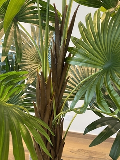 Palmeira leque artificial 1.70 metros - Cristal Garden