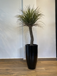 Yucca artificial 1,20 metros - comprar online