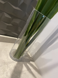 Vaso de vidro com x 7 Folhas de Fórmio permanente - 75cm - comprar online