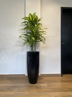 Dracena artificial x3 hastes - 1,15 metros - comprar online