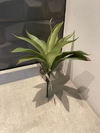 Agave artificial 23cm