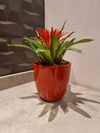 arranjo mini bromelia artificial 22cm