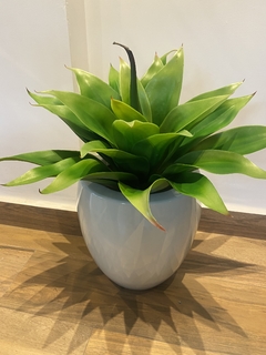 AGAVE Artificial (VERDE) 60 CM - loja online