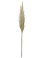 Capim dos pampas C/ 3 hastes (natural) 120cm