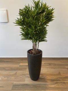 Dracena artificial 1,20 metros na internet