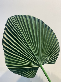 Folha de palmeira leque artificial 75cm na internet
