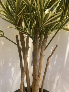 Dracena variegata artificial 1,20 metros - loja online