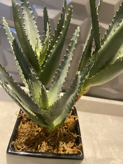 Arranjo aloe permanente 29cm - loja online