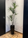 Dracena Permanente 1,50 metros (Verde)